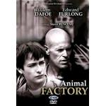 ANIMAL FACTORY DVD