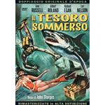 TESORO SOMMERSO IL - DVD