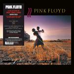 PINK FLOYD - A COLLECTION OF GREAT DANCE SONGS LP *