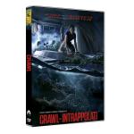 CRAWL - INTRAPPOLATI DVD 