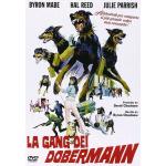 GANG DEI DOBERMANN LA - DVD