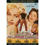 ANIMALE FEMMINA L' DVD